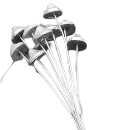 FASTENER NAILS 1 KG.