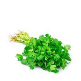 Cilantro uni