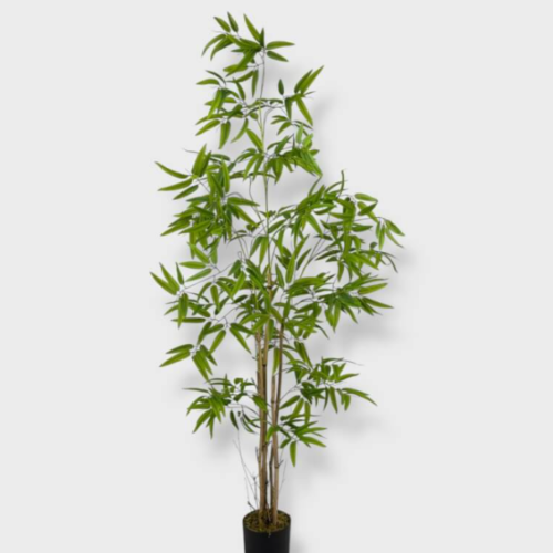 Bamboo C/Maceta 180cm