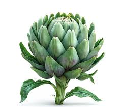 Alcachofa