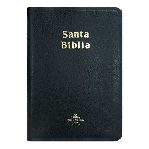 Santa Biblia