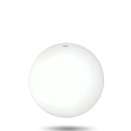 24W FOCUS CEILING LAMP
