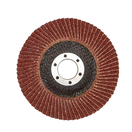 FLAP DISC #100