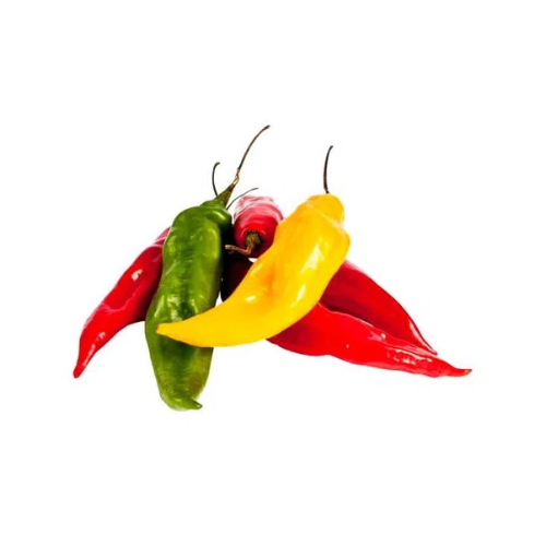 Aji uni