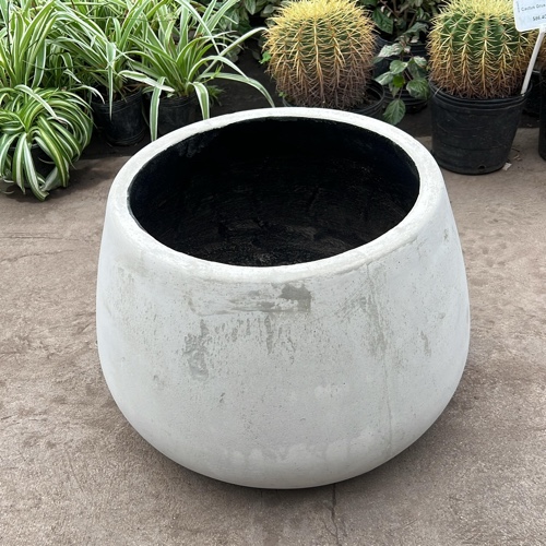 Batea N29 Mediana