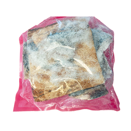 Cow Skin
